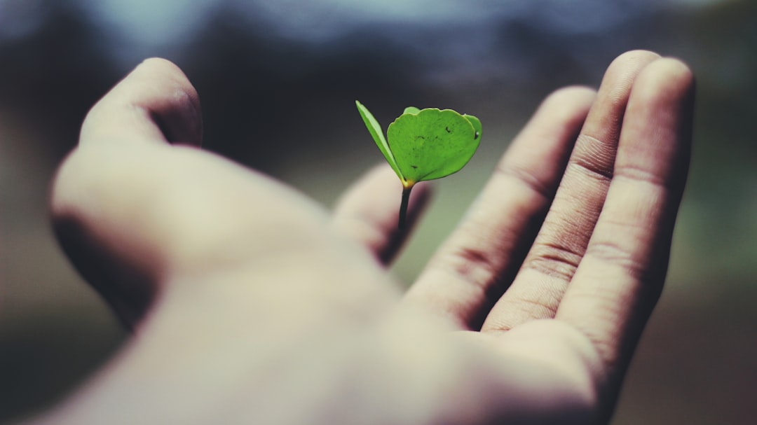 découvrez nos solutions d'assurance adaptées à vos besoins. protégez votre santé, vos biens et votre avenir avec des polices personnalisées et un service client exceptionnel. faites le choix de la tranquillité d'esprit.